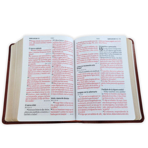 BIBLIA REINA VALERA 1960 CAFÉ CLARO TAMAÑO MEDIANO