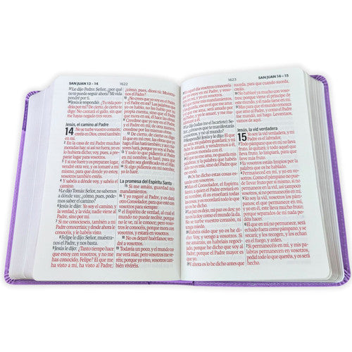 BIBLIA REINA VALERA 1960 MEDIANA COLOR LILA