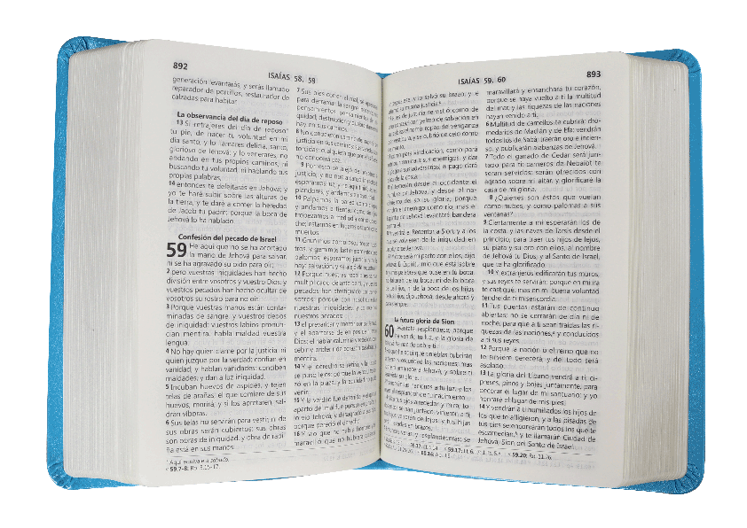 BIBLIA RVR045cLG AZUL