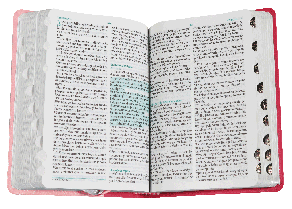 Biblia Fuente de Bendiciones Letra Mediana Imitación Piel Rosa