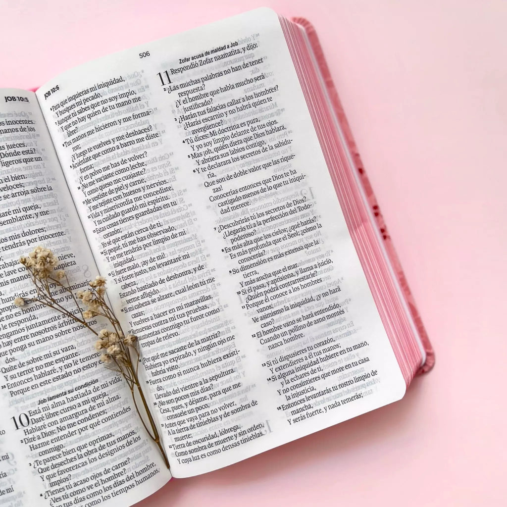 BIBLIA REINA VALERA 1960 GRANDE FLOREADA ROSA