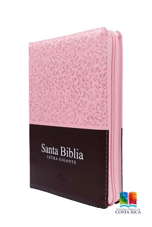 BIBIA GRANDE ROSA MARRON 14 PTS