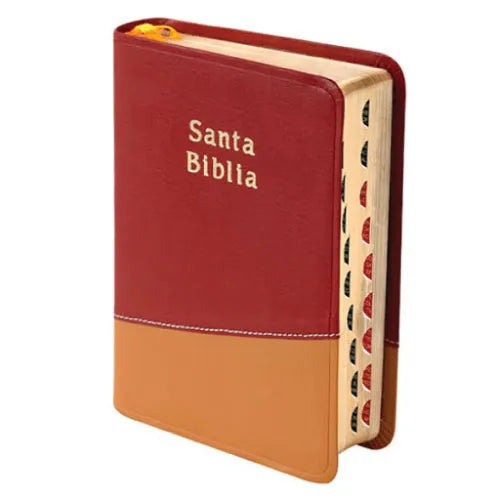 Biblia Reina Valera 1960 Chica Letra Mediana Imitación Piel Mostaza Naranja