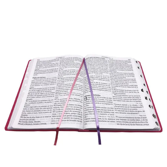 Biblia  Gigante Letra Supergigante Imitación Piel Rosa