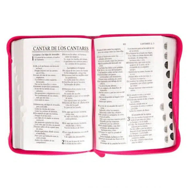 Biblia manual rosada con cierre e índice Reina Valera 1960