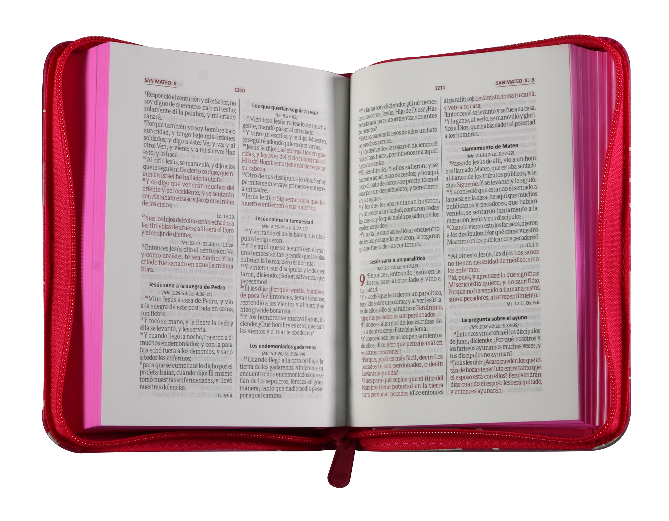 Biblia Reina Valera 1960 Chica Letra Chica Imitación Piel Fucsia Código QR