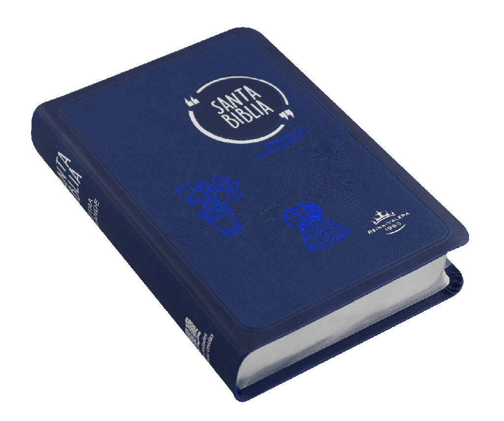 Biblia Reina Valera 1960 mediana Letra Grande Imitación Piel Azul [RVR045cLG GA]