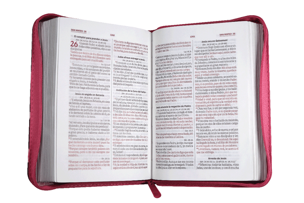 Biblia Reina Valera 1960 Chica Letra Mediana Imitación Piel Fiusha Flores QR