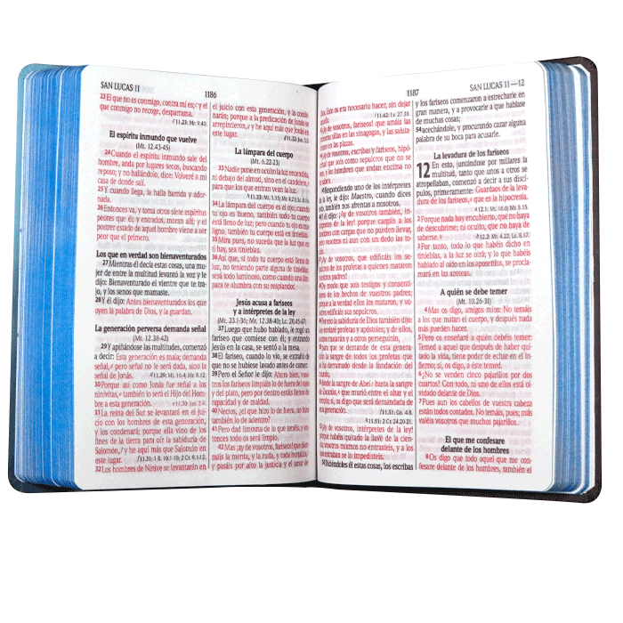 BIBLIA RVR063cLGPJR TAPA DURA LEON AZUL
