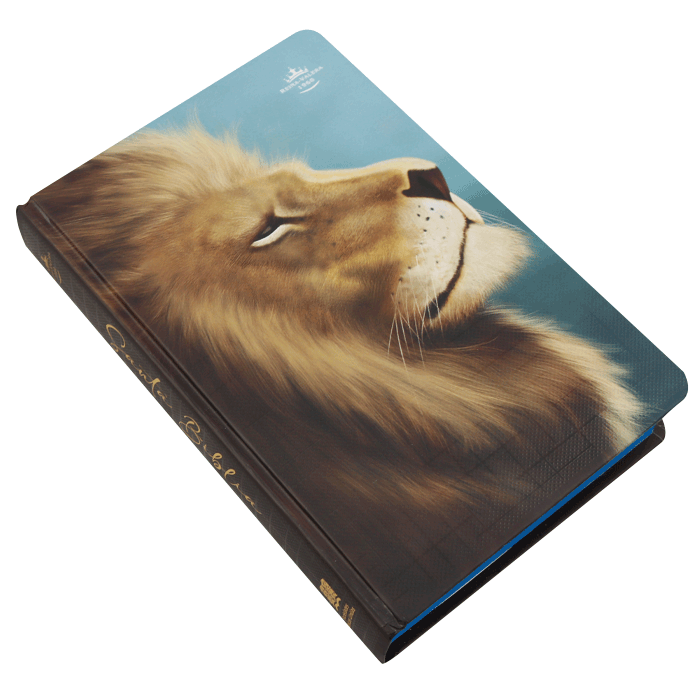 BIBLIA RVR063cLGPJR TAPA DURA LEON AZUL