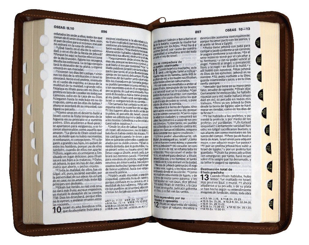 Biblia Reina Valera 1960 Mediana Letra Grande Imitación Piel Marrón - Negro