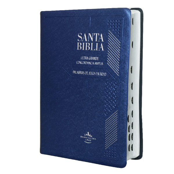 BIBLIA ZUL LETRA 12 PTS