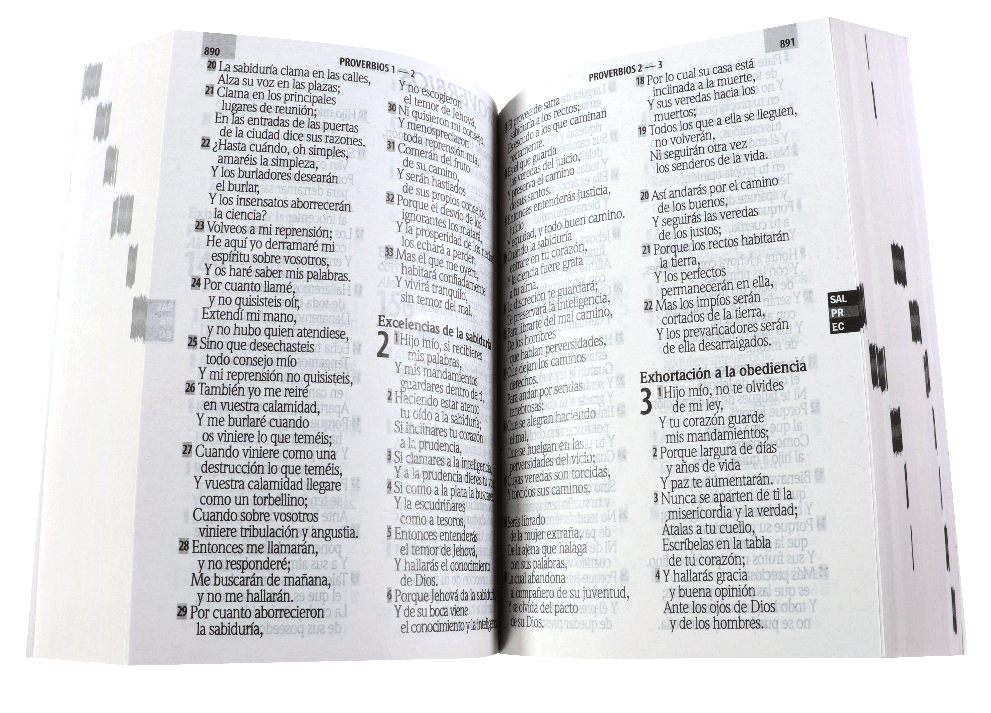 Biblia Reina Valera 1960 Grande Letra Gigante Rústica pasta de cartón