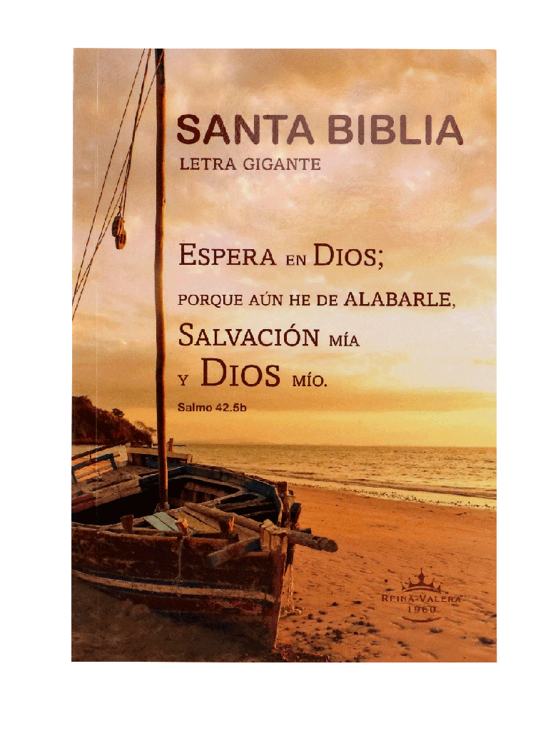 Biblia Reina Valera 1960 Grande Letra Gigante Rústica pasta de cartón