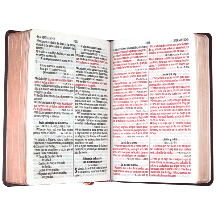 BIBLIA  TAPA DURA ROSAS