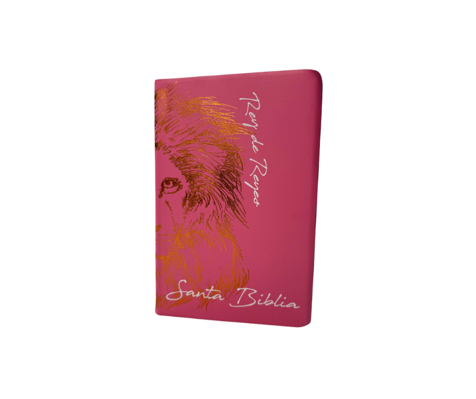 Biblia grande concordancia amplia palabras de Jesús en rojo vinil Rosa, León