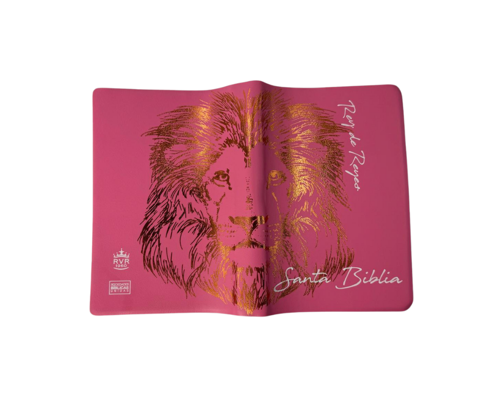 Biblia grande concordancia amplia palabras de Jesús en rojo vinil Rosa, León