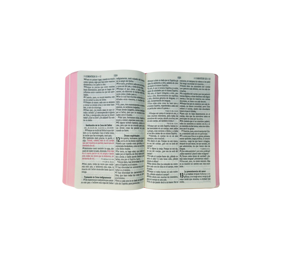 Biblia grande concordancia amplia palabras de Jesús en rojo vinil Rosa, León
