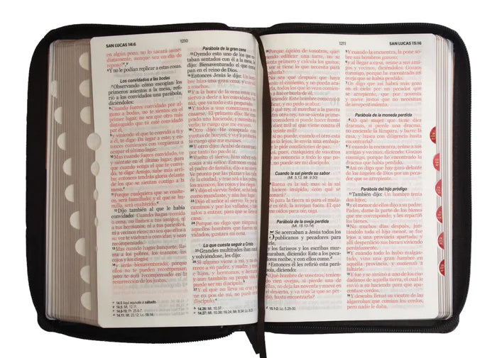 Biblia grande concordancia canto dorado letra 12 puntos café /mostaza