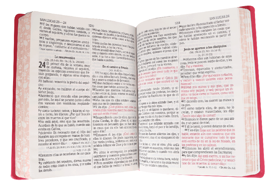Biblia Reina Valera 1960 Grande Letra Gigante Imitación Piel Rosa