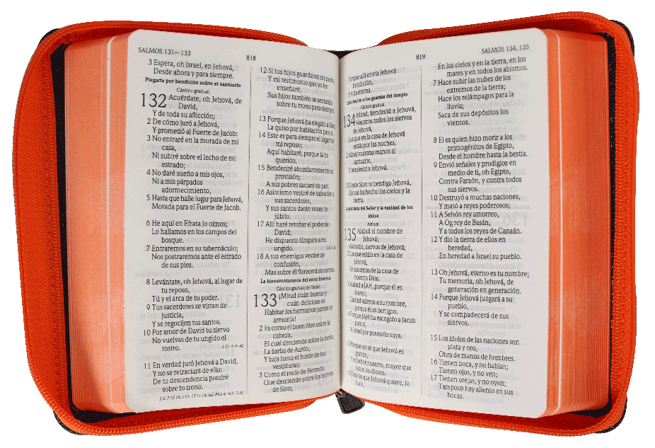 Biblia Reina Valera 1960 Tamaño Bolsillo Letra Mediana Imitación Piel Azul Naranja