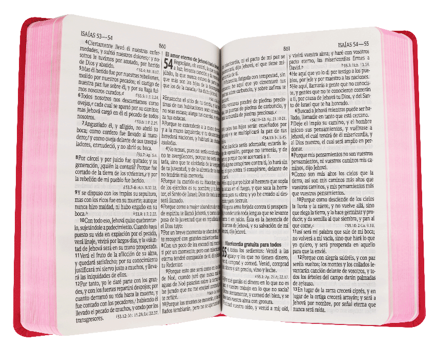 Biblia Reina Valera 1960 Mediana Letra Grande Imitación Piel Fucsia