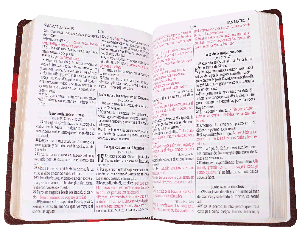 Biblia Reina Valera 1960 Mediana Letra Grande Imitación Piel Marrón Rojo