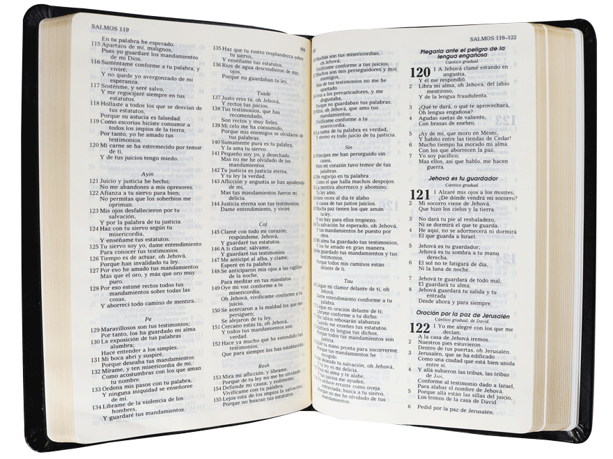 Biblia Reina Valera 1960 Mediana Letra Mediana Imitación Piel Negro Ultra fina