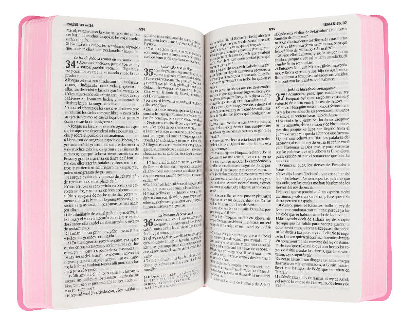 Biblia Reina Valera 1960 Mediana Letra Mediana Imitación Piel Rosa