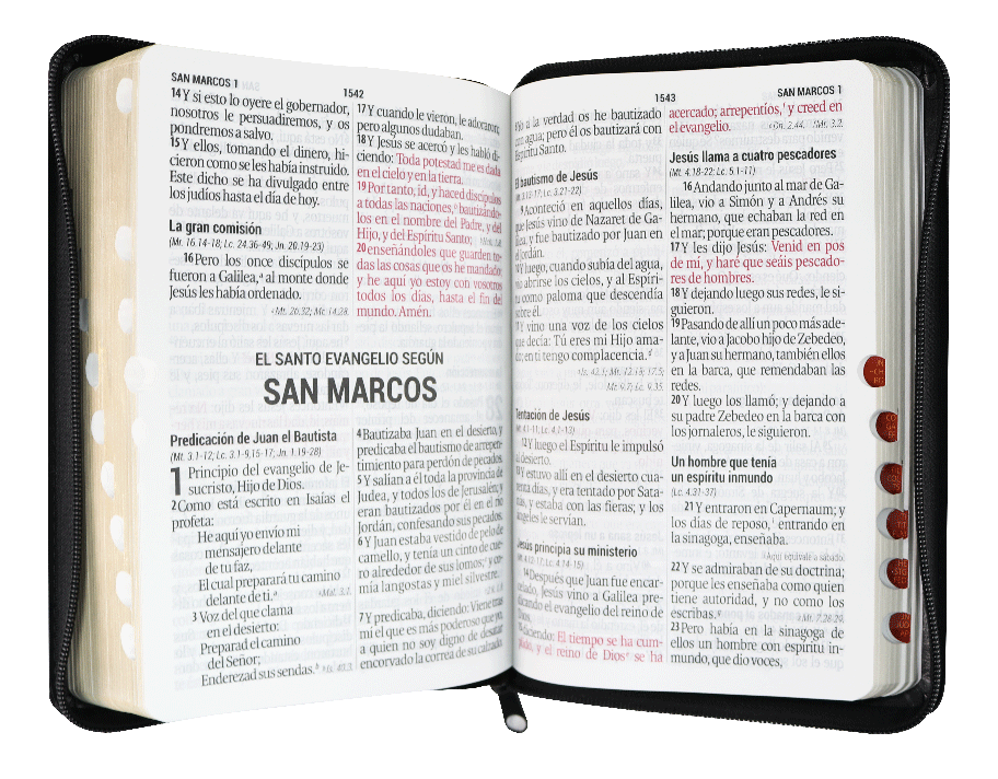 BIBLIA LETRA 14 PUNTOS NEGRO