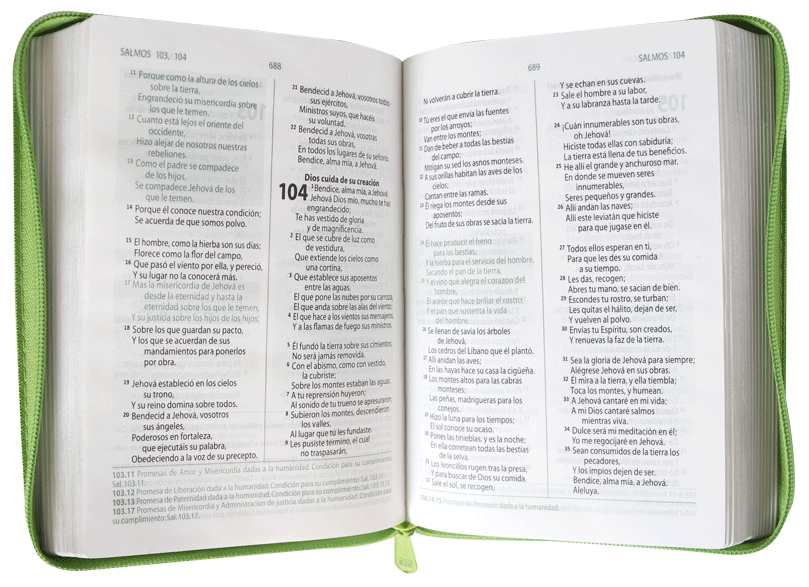 Biblia Promesas Letra Mediana Imitación Piel Verde