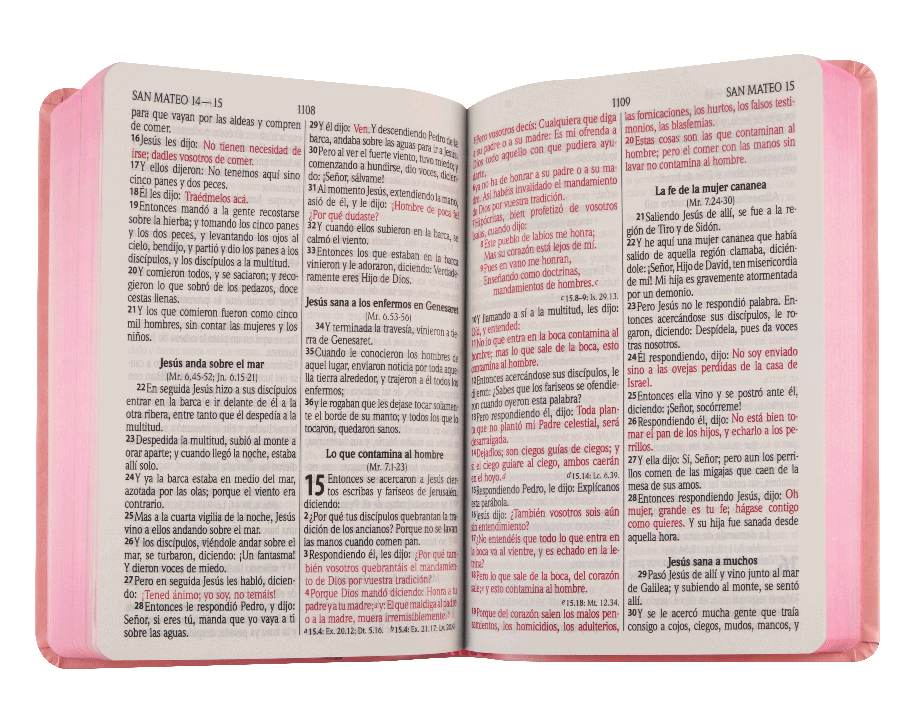 Biblia Reina Valera 1960 Mediana Letra Grande Imitación Piel Rosa