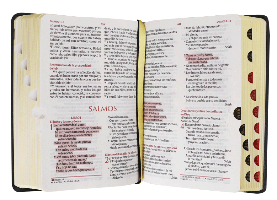 BIBLIA MEDIANA DE VINIL COLOR NEGRO CON INDICE
