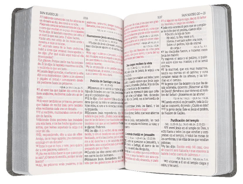 Biblia Reina Valera 1960 Mediana Letra Grande Imitación Piel GRIS