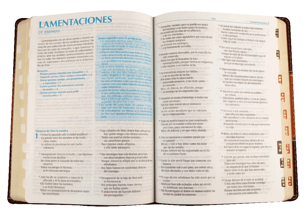 Biblia de Estudio Predicación  Grande Letra Grande Imitación Piel Marrón