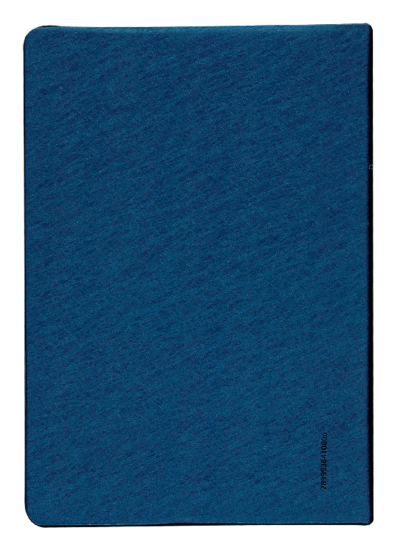 Biblia Reina Valera 1960 Mediana Letra Grande Vinil azul