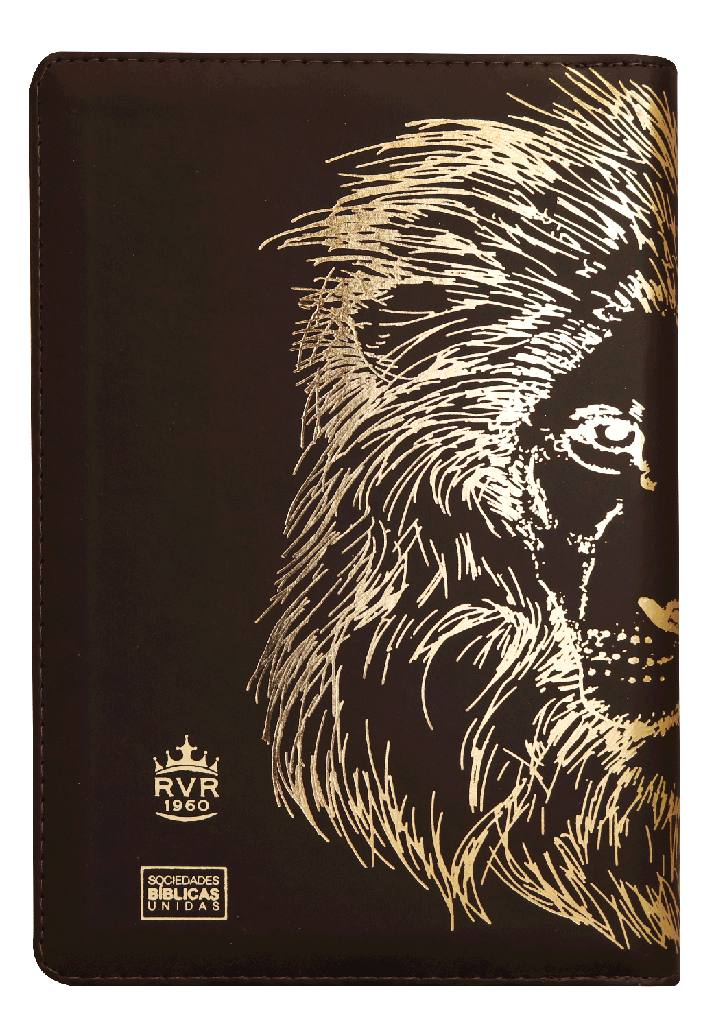 BIBLIA GRANDE LEON CAFE 12 PTS