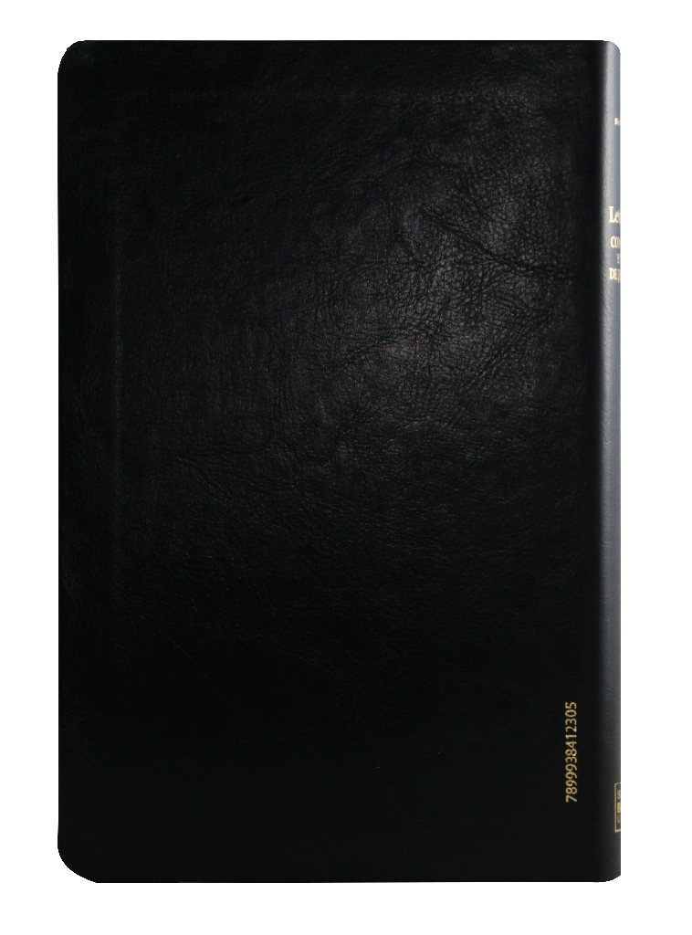 Biblia grande concordancia indice referencias palabras de Cristo en rojo negro