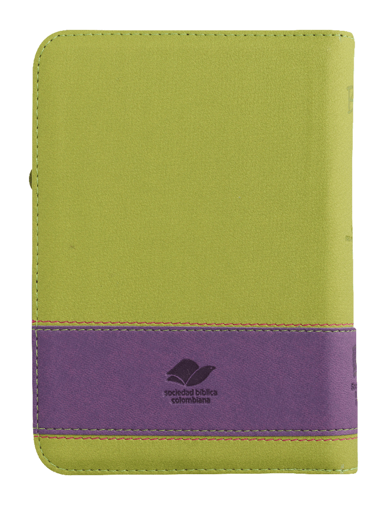 Biblia Reina Valera 1960 Chica Letra Mediana Imitación Piel Verde QR