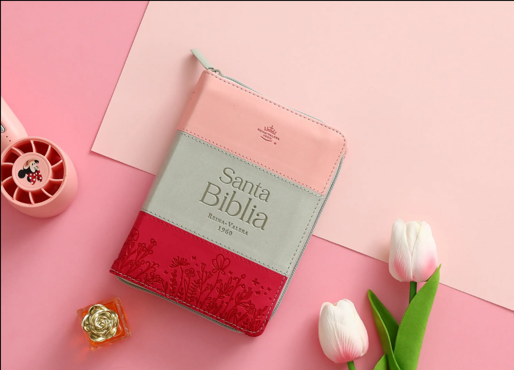 Biblia chica RVR60 025czti Concordancia Cierre Canto dorado Tricolor  Rosa/blanco/Fucsia