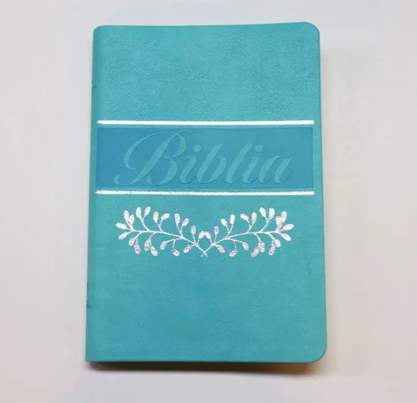 Biblia grande ultra delgada canto pintado verde