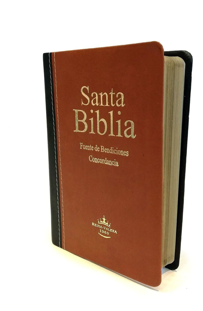 Biblia Fuente de Bendiciones Letra Mediana Imitación Piel Marrón Negro