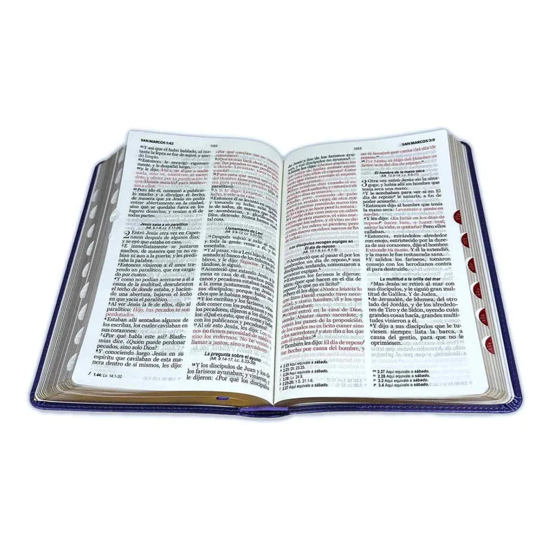 Biblia grande, letra grande, versión 60, color morado
