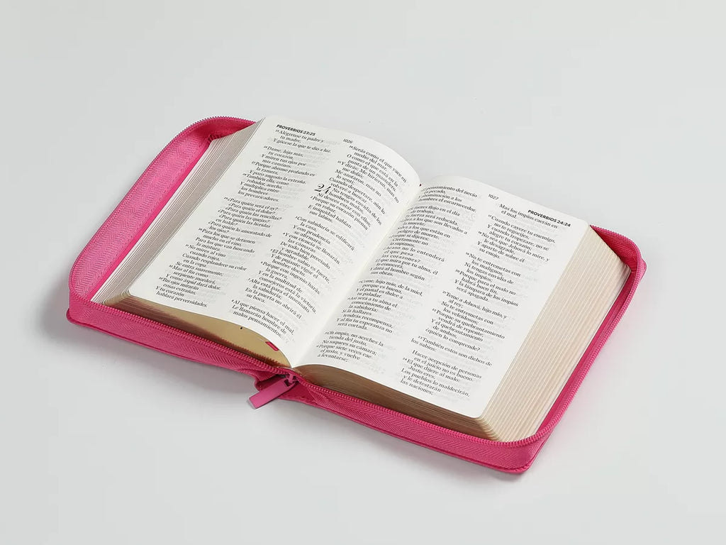 BIBLIA GRANDE ROSA FUCSIA 11 PTS