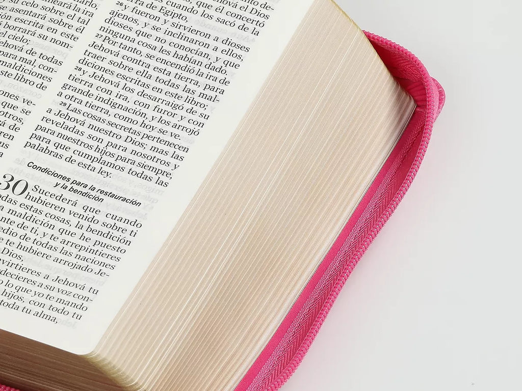 BIBLIA GRANDE ROSA FUCSIA 11 PTS