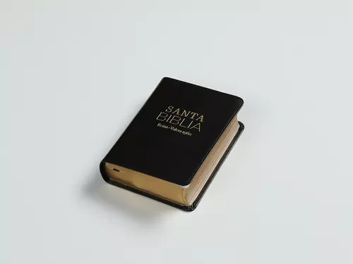 BIBLIA CHICA NEGRO LETRA 8 PUNTOS