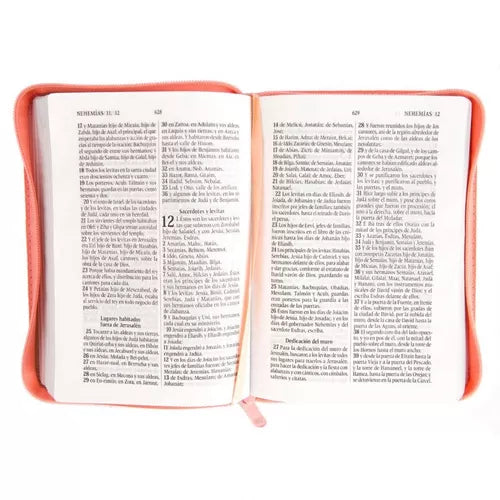 BIBLIA MANUAL IMITACIÓN PIEL CONCORDANCIA CIERRE, ROSA-BEIGE