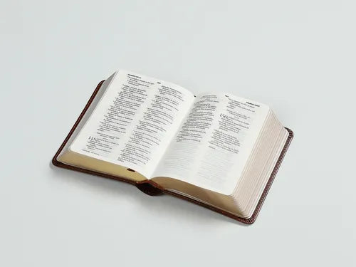 Biblia chica Reina Valera 1960 de bolsillo Imitación Piel cafe