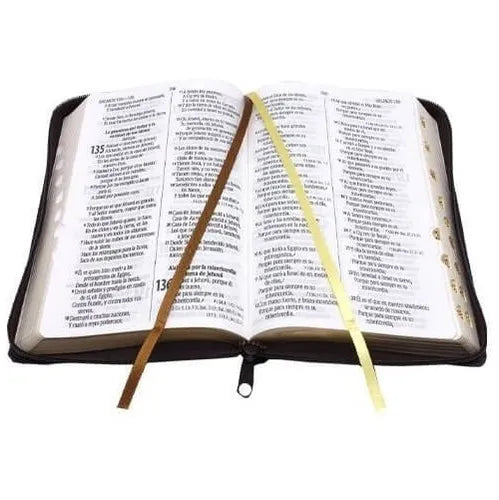 BIBLIA GRANDE LEON CAFE 12 PTS