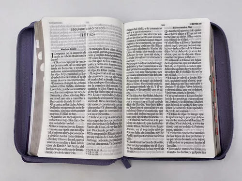 Biblia grande letra 14 puntos cierre concordancia índice canto dorado morado/lila